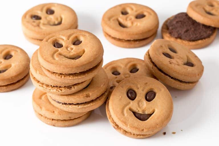 cookie, biscuit, round, sweet, snack, carbohydrate, sugar, bakery, unhealthy, baked, treat, smile, jolly jammers tm, fattening, cookie, cookie, cookie, cookie, cookie, biscuit, biscuit, biscuit, biscuit, sugar, bakery, smile, smile, smile