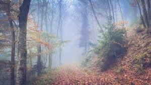 Learning to Let Go and Embrace the Unknown