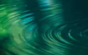 From Rigidity to Fluidity: Rediscovering Curiosity in the Evolving Self