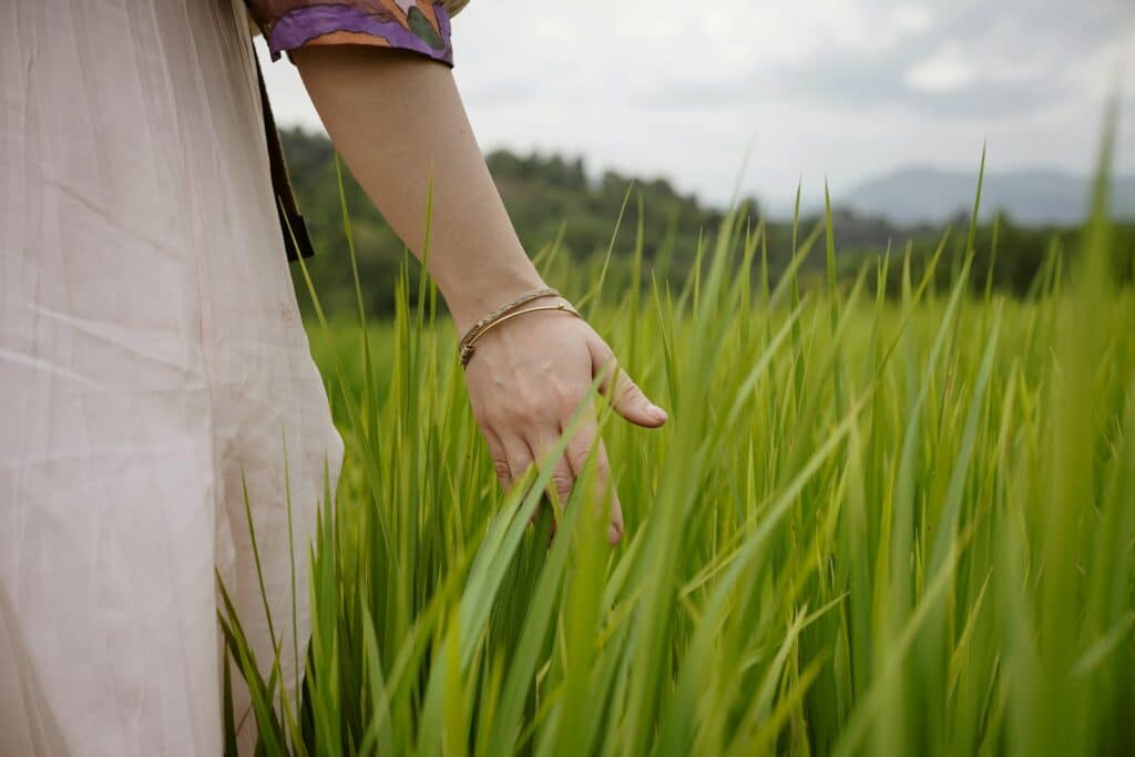 A hand gently glides through tall green grass.