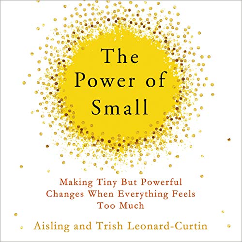 The power of small by aisling leonard curtin dr