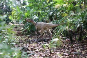 Anxiety: Our Ancient Alarm System