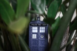 The Space Between Lives: The Quiet Kind of Awakening