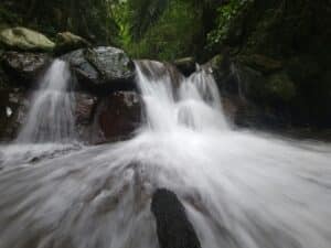 Hyperfixation and Flow: When Focus Becomes a Flood